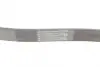 Ремінь генератора Ford Focus/Fiesta/Fusion 1.25-1.6 99-12/Mazda 2 1.25-1.6 03-07 CONTINENTAL Contitech 6PK1042 ELAST (фото 3)