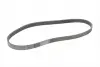 Ремінь генератора Ford Focus/Fiesta/Fusion 1.25-1.6 99-12/Mazda 2 1.25-1.6 03-07 CONTINENTAL Contitech 6PK1042 ELAST (фото 5)