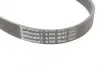 Ремінь генератора VW Golf III/Passat/T4 1.9D/TD 90-04/Opel Corsa F 1.2 19-/Fiat Scudo 1.9D 98-06 CONTINENTAL Contitech 6PK1045 (фото 4)