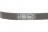 Ремінь генератора VW Golf III/Passat/Caddy 1.9/2.0TDI/SDI 03-10/Skoda Octavia/Superb 1.9/2.0TD 04-15 CONTINENTAL Contitech 6PK1050 (фото 3)