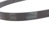 Ремінь генератора Audi/Skoda Octavia/VW Golf/Passat B6 2.0TFSI/RS/GTi/FSI 04-13/Fiat Doblo 1.9D 01- CONTINENTAL Contitech 6PK1054 (фото 2)