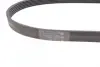Ремінь генератора Ford Focus 1.6 04-/Volvo C30/S40/V50 05-12 CONTINENTAL Contitech 6PK1059 ELAST (фото 2)