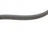 Ремінь генератора Ford Focus 1.4/1.6i 03-/Volvo C30/S40/V50 1.6 05-12 (6PK1059 ELAST+5PK868 ELAST) CONTINENTAL Contitech 6PK1059 ELAST T2 (фото 2)