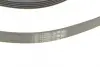 Ремінь генератора Ford Focus 1.4/1.6i 03-/Volvo C30/S40/V50 1.6 05-12 (6PK1059 ELAST+5PK868 ELAST) CONTINENTAL Contitech 6PK1059 ELAST T2 (фото 4)