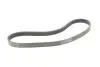 Ремінь генератора Ford Focus 1.4/1.6i 03-/Volvo C30/S40/V50 1.6 05-12 (6PK1059 ELAST+5PK868 ELAST) CONTINENTAL Contitech 6PK1059 ELAST T2 (фото 5)