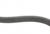 Ремінь генератора Ford Focus 1.4/1.6i 03-/Volvo C30/S40/V50 1.6 05-12 (6PK1059 ELAST+5PK868 ELAST) CONTINENTAL Contitech 6PK1059 ELAST T2 (фото 6)