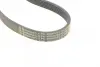 Ремінь генератора Ford Focus 1.4/1.6i 03-/Volvo C30/S40/V50 1.6 05-12 (6PK1059 ELAST+5PK868 ELAST) CONTINENTAL Contitech 6PK1059 ELAST T2 (фото 7)