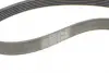 Ремінь генератора Ford Focus 1.4/1.6i 03-/Volvo C30/S40/V50 1.6 05-12 (6PK1059 ELAST+5PK868 ELAST) CONTINENTAL Contitech 6PK1059 ELAST T2 (фото 8)