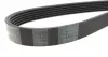 Комплект пасу поліклинового Audi A2/Seat Ibiza/Sk CONTINENTAL Contitech 6PK1080K1 (фото 3)