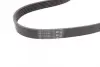 Ремінь генератора Skoda Octavia/VW Golf 1.6-2.0/1.9TDI 97-13/Passat B6/B7 1.8-2.0TSI/T5 1.9TDI 03-15 CONTINENTAL Contitech 6PK1120 (фото 3)