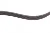 Ремінь генератора Skoda Octavia/VW Golf 1.6-2.0/1.9TDI 97-13/Passat B6/B7 1.8-2.0TSI/T5 1.9TDI 03-15 CONTINENTAL Contitech 6PK1120 (фото 4)