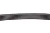Ремінь поліклінової Conti Contitech 6PK1120EXTRA (фото 3)