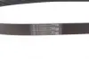 Ремінь генератора Renault Master 2.2/2.5dCi 00-/Peugeot 306/405 1.8/1.9D 93-01/Ford Fiesta 1.8 00-02 CONTINENTAL Contitech 6PK1145 (фото 2)