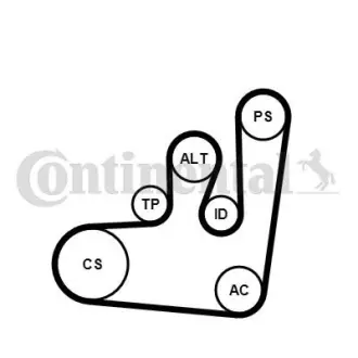 Комплект (ремінь + ролики + помпа) CONTINENTAL Contitech 6PK1145WP1