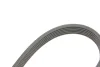 Комплект пасу поліклинового CONTINENTAL Contitech 6PK1153K3 (фото 2)