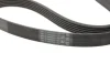 Комплект пасу поліклинового CONTINENTAL Contitech 6PK1153K3 (фото 3)
