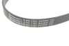 Ремінь генератора BMW 3 (G20/G80/G28)/5 (G30/F90)/X5 (G05/F95) 2.0D B47 16- CONTINENTAL Contitech 6PK1157 EXTRA (фото 2)