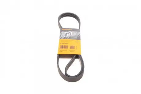 Ремінь генератора Citroen Jumper/Peugeot Boxer 3.0HDI CONTINENTAL Contitech 6PK1165