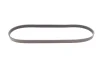 Пас поликлиновый Citroen Jumper/Fiat Ducato 2.0/2 CONTINENTAL Contitech 6PK1173 (фото 3)