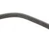 Комплект пасу поліклинового CONTINENTAL Contitech 6PK1173K1 (фото 2)