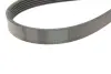 Комплект пасу поліклинового CONTINENTAL Contitech 6PK1173K1 (фото 3)