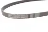 Ремінь генератора Renault Kangoo/Logan/Scenic/Talisman 1.4/1.5 dCi/1.6 03-/Mazda 3/CX-3 1.5/1.8D 15- CONTINENTAL Contitech 6PK1200 (фото 2)