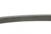 Комплект ременя генератора Renault Clio/Kangoo/Megane/Scenic 1.5dCi 01- (6PK1200) CONTINENTAL Contitech 6PK1200K1 (фото 2)