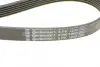 Комплект ременя генератора Renault Clio/Kangoo/Megane/Scenic 1.5dCi 01- (6PK1200) CONTINENTAL Contitech 6PK1200K1 (фото 4)