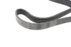 Комплект пасу поліклинового CONTINENTAL Contitech 6PK1200K3 (фото 2)