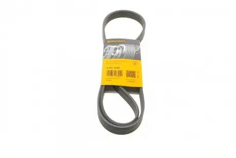 Поліклиновий ремінь Contitech 6PK1240