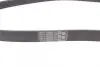 Ремінь генератора Ford Focus 1.8/2.0 04-12 CONTINENTAL Contitech 6PK1240 ELAST (фото 2)