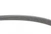 Ремінь генератора Hyundai i30/ Tucson/ ix20 1.4i-1.6 07-/ Kia Cee\'d/Picanto/ Soul 1.0-1.6 06- CONTINENTAL Contitech 6PK1256 (фото 2)