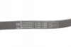 Ремінь генератора Hyundai i30/ Tucson/ ix20 1.4i-1.6 07-/ Kia Cee\'d/Picanto/ Soul 1.0-1.6 06- CONTINENTAL Contitech 6PK1256 (фото 4)