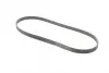 Ремінь генератора Hyundai i30/ Tucson/ ix20 1.4i-1.6 07-/ Kia Cee\'d/Picanto/ Soul 1.0-1.6 06- CONTINENTAL Contitech 6PK1256 (фото 5)