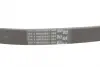 Ремінь генератора VW T5/Golf 2.3-3.2 V6 03-09/Audi A4/A6/Q5 2.0TDI 08-17 CONTINENTAL Contitech 6PK1264 (фото 3)