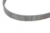 Ремінь генератора VW T5/Golf 2.3-3.2 V6 03-09/Audi A4/A6/Q5 2.0TDI 08-17 CONTINENTAL Contitech 6PK1264 (фото 4)
