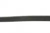Ремінь генератора Ford Focus/Mazda 3/5/Volvo S40/V50/C30 1.8/2.0 03- CONTINENTAL Contitech 6PK1306 (фото 2)