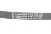 Ремень привода навесного оборудования Contitech 6PK1330 (фото 3)