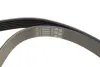 Комплект пасу поліклинового CONTINENTAL Contitech 6PK1390K2 (фото 2)