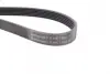 Ремінь генератора Ford Transit Connect 02-13/Focus 99-05/Toyota Avensis 03-12/Corolla 01-07/Renault CONTINENTAL Contitech 6PK1420 (фото 2)