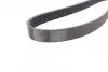 Ремінь генератора Ford Transit Connect 02-13/Focus 99-05/Toyota Avensis 03-12/Corolla 01-07/Renault CONTINENTAL Contitech 6PK1420 (фото 3)