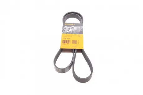 Ремінь генератора Ford Transit Connect 02-13/Focus 99-05/Toyota Avensis 03-12/Corolla 01-07/Renault CONTINENTAL Contitech 6PK1420