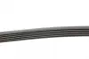 Ремінь генератора Citroen Berlingo/Jumpy/Fiat Scudo/Peugeot Partner 1.9D 98-/Hyundai Accent 02-05 CONTINENTAL Contitech 6PK1440 (фото 2)