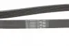 Ремінь генератора Citroen Berlingo/Jumpy/Fiat Scudo/Peugeot Partner 1.9D 98-/Hyundai Accent 02-05 CONTINENTAL Contitech 6PK1440 (фото 3)