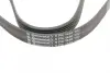 Ремінь генератора Citroen Berlingo/Jumpy/Fiat Scudo/Peugeot Partner 1.9D 98-/Hyundai Accent 02-05 CONTINENTAL Contitech 6PK1440 (фото 4)