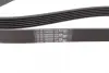 Ремінь генератора Peugeot 206/Partner/Citroen Berlingo 1.1-1.6 02-/VW Fox/Polo 1.2 02-14 CONTINENTAL Contitech 6PK1453 (фото 2)
