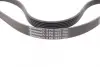 Ремінь генератора Peugeot 206/Partner/Citroen Berlingo 1.1-1.6 02-/VW Fox/Polo 1.2 02-14 CONTINENTAL Contitech 6PK1453 (фото 3)