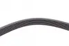 Ремінь генератора Peugeot 206/Partner/Citroen Berlingo 1.1-1.6 02-/VW Fox/Polo 1.2 02-14 CONTINENTAL Contitech 6PK1453 (фото 4)
