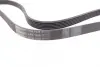 Ремінь генератора Ford Focus 1.8 TDCi 05-12/Skoda Octavia/VW Lupo/Seat Arosa 1.4 i 99-01 CONTINENTAL Contitech 6PK1520 (фото 2)