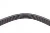 Ремінь генератора Ford Focus 1.8 TDCi 05-12/Skoda Octavia/VW Lupo/Seat Arosa 1.4 i 99-01 CONTINENTAL Contitech 6PK1520 (фото 3)